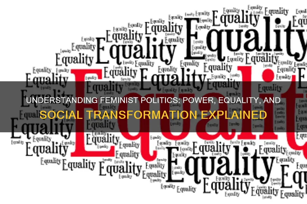 what are feminist politics