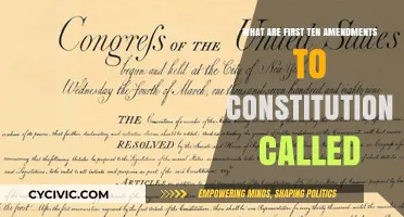 The Founding Amendments: Understanding the Bill of Rights