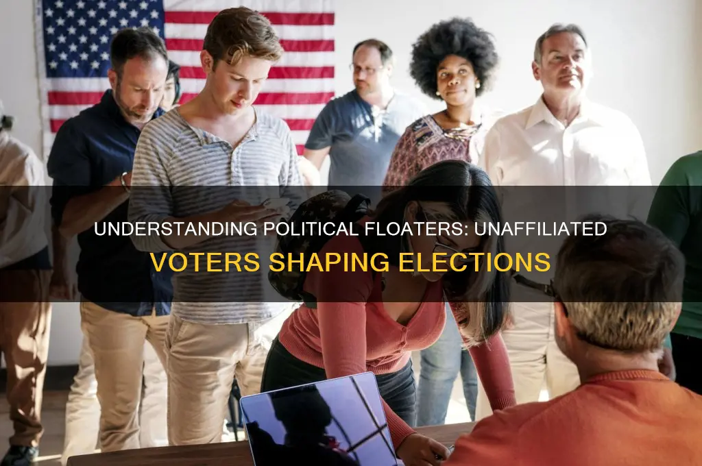 what are floaters in politics