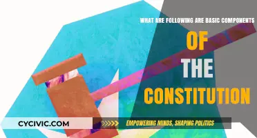 Key Elements: Understanding the Constitution's Basic Components