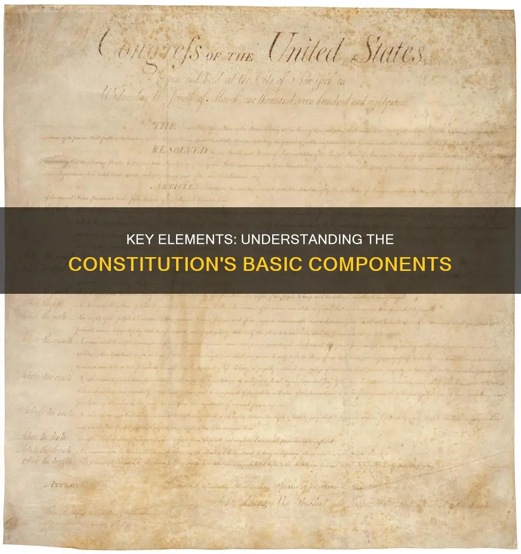 what are following are basic components of the constitution