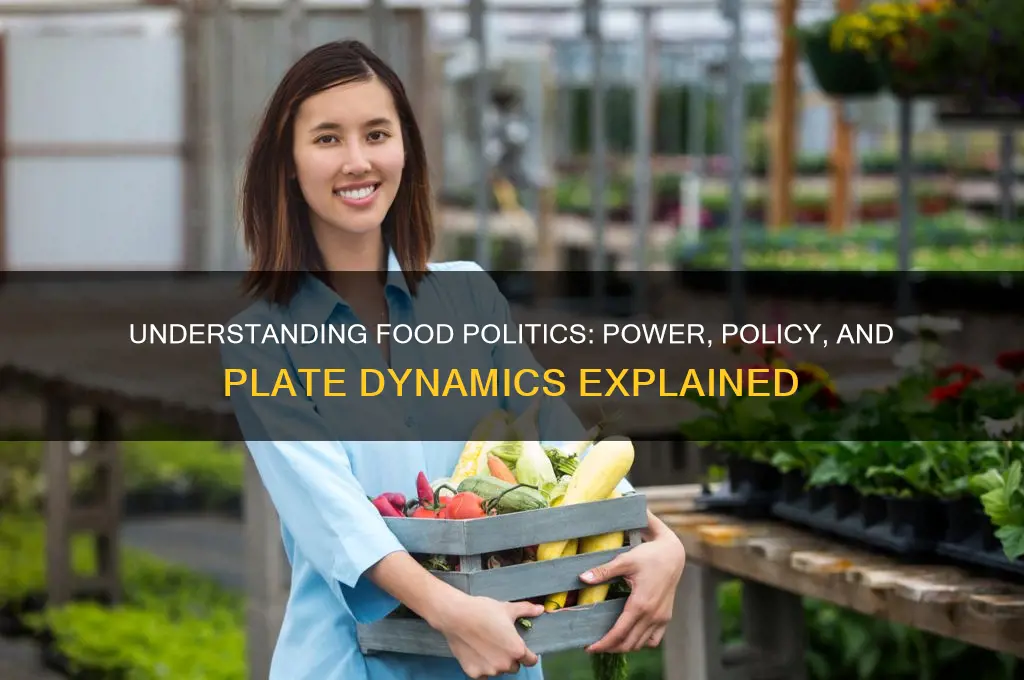 what are food politics