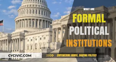 Understanding Formal Political Institutions: Structure, Function, and Role in Governance