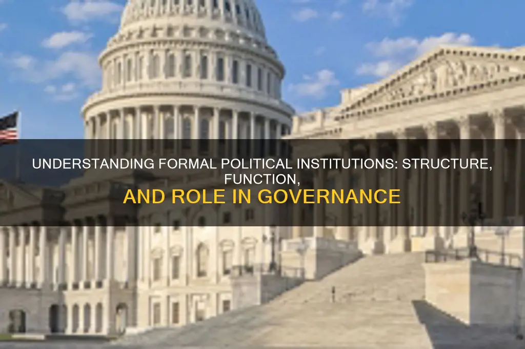 what are formal political institutions