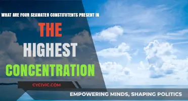 Seawater's Most Abundant Constituents and Their Roles