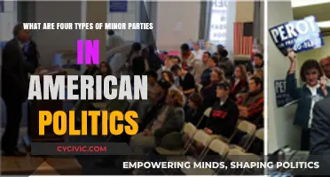 Exploring Four Types of Minor Parties in American Politics