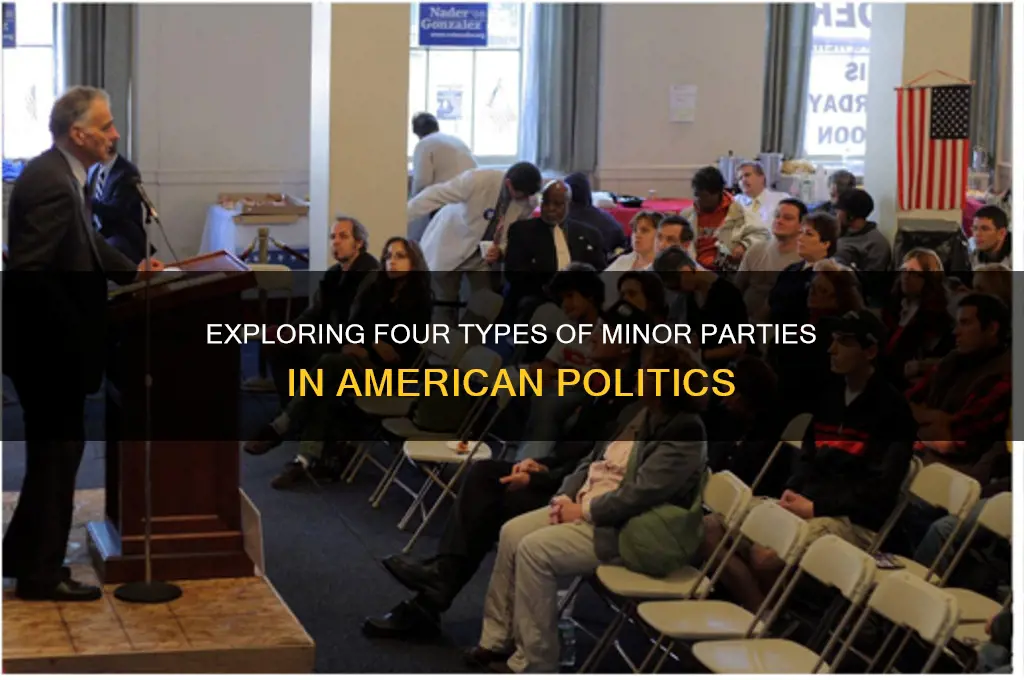 what are four types of minor parties in american politics