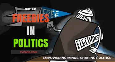 Understanding Political Freebies: Gifts, Promises, or Strategic Voter Enticements?