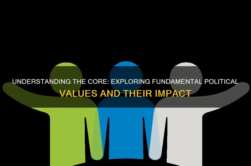 what are fundamental political values