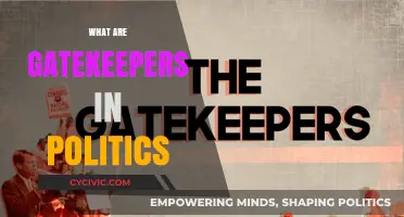 Understanding Political Gatekeepers: Power, Influence, and Access in Governance