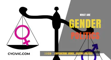Understanding Gender Politics: Power, Identity, and Social Dynamics Explained
