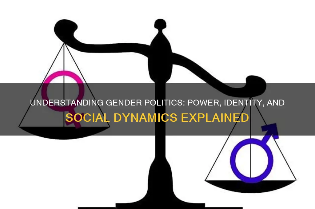 what are gender politics