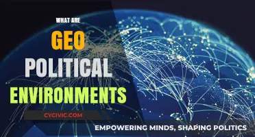 Understanding Geo-Political Environments: Dynamics, Impacts, and Global Influences