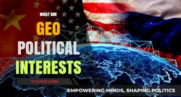 Understanding Geo-Political Interests: Global Power Dynamics and National Strategies