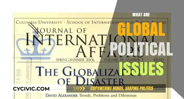 Understanding Global Political Issues: Challenges, Impacts, and Solutions