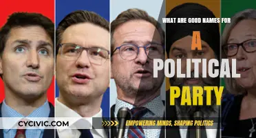 Crafting Identity: Creative and Impactful Names for Political Parties