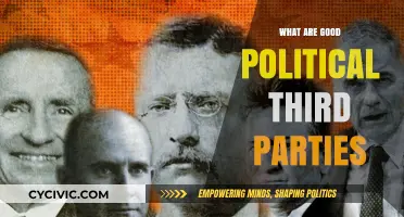 Exploring Viable Political Third Parties: Alternatives to the Two-Party System