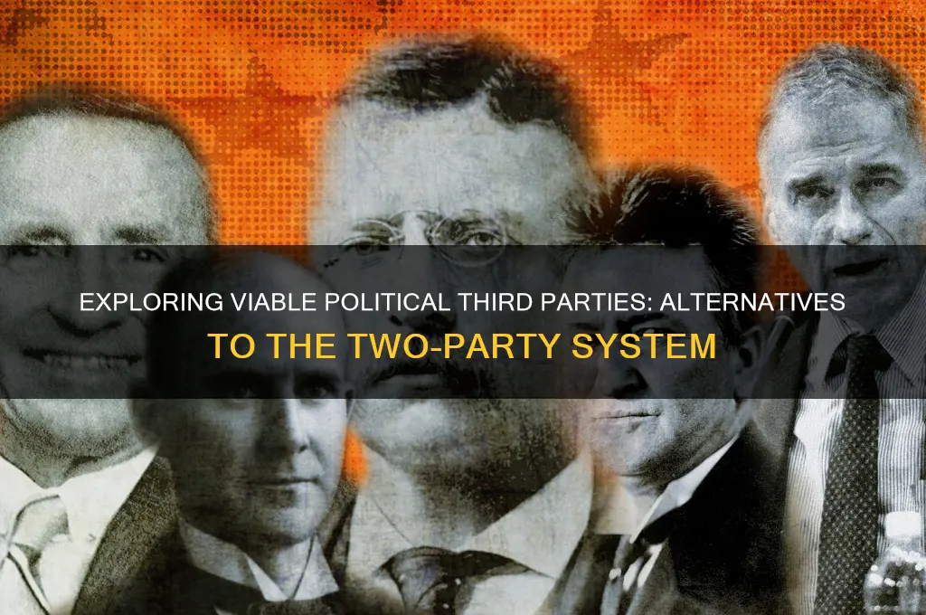 what are good political third parties