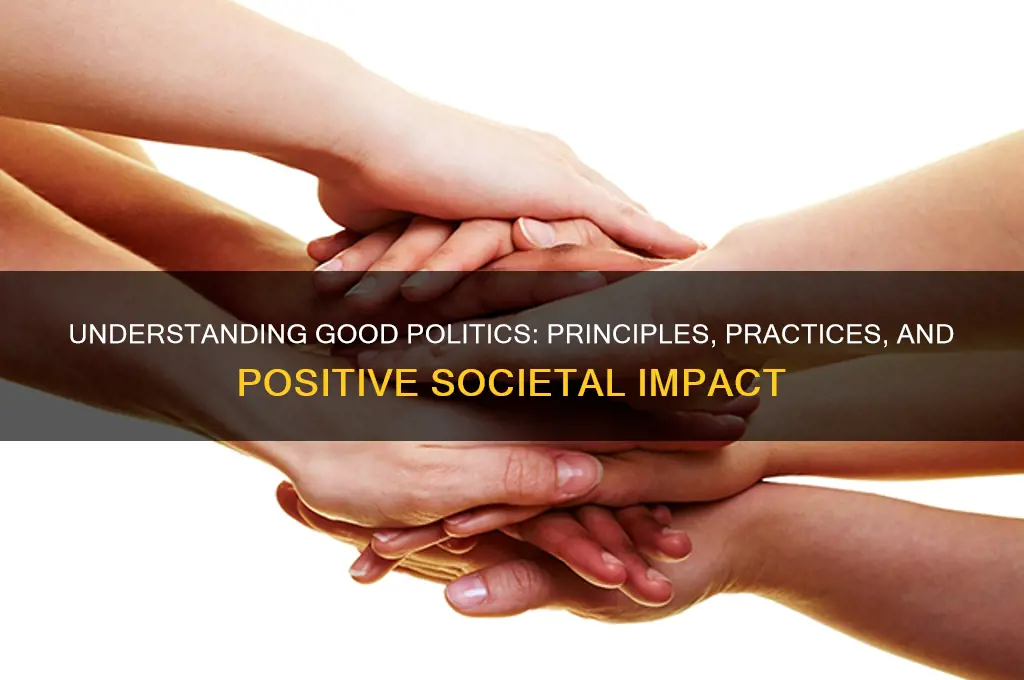 what are good politics