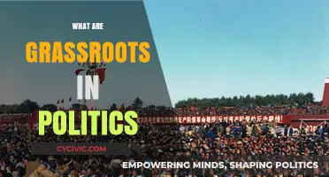 Understanding Grassroots Politics: Power, People, and Local Movements Explained