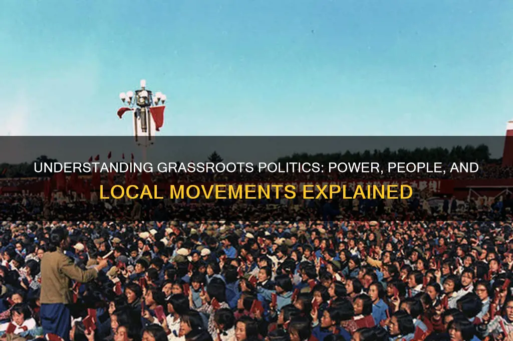 what are grassroots in politics