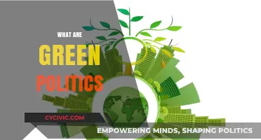 Understanding Green Politics: Sustainability, Ecology, and Social Justice Explained