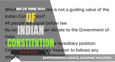The Soul of India's Constitution: Guiding Values