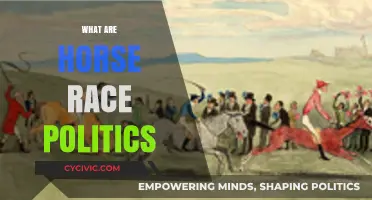 Understanding Horse Race Politics: Media, Polls, and Election Strategies