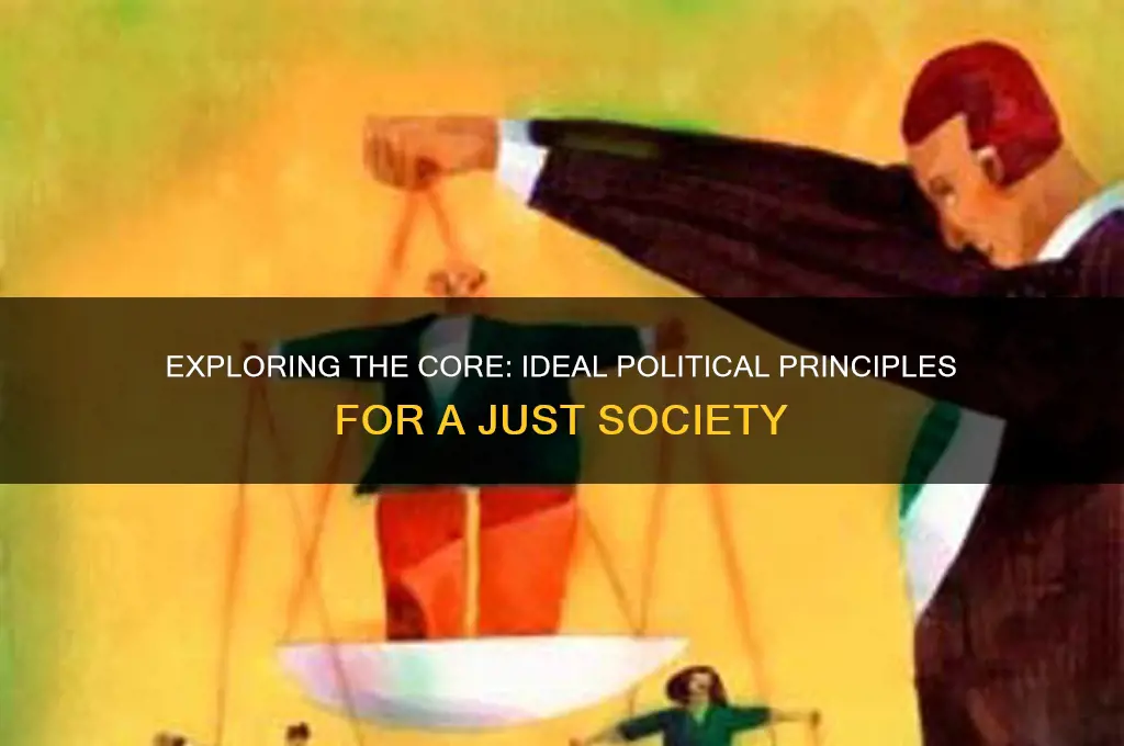 what are ideal political principles