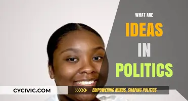 Understanding Political Ideas: Foundations, Impact, and Shaping Societies