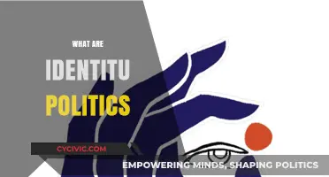 Understanding Identity Politics: Exploring Its Impact on Society and Culture