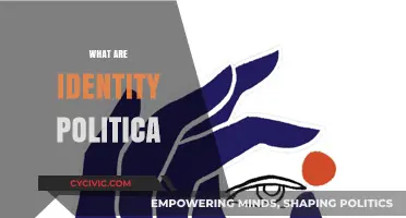 Understanding Identity Politics: Exploring Social, Cultural, and Power Dynamics