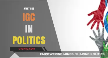 Understanding IGCs: Their Role and Impact in Political Systems