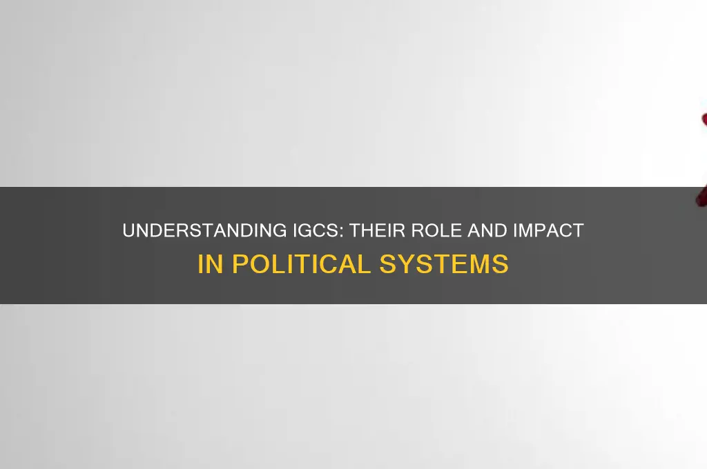 what are igc in politics