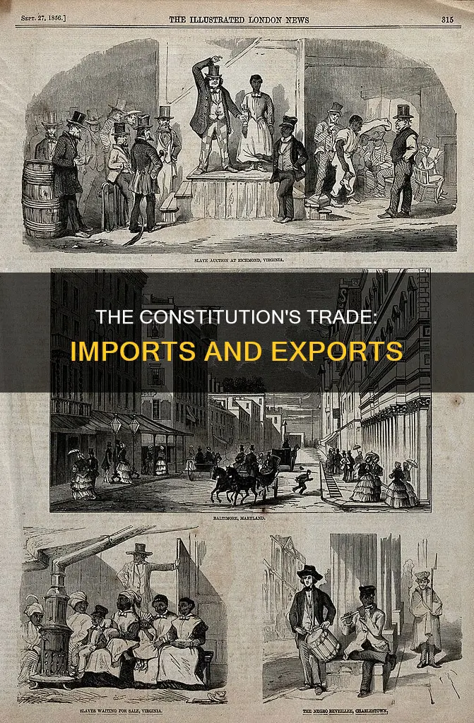 what are imports and exports in the constitution