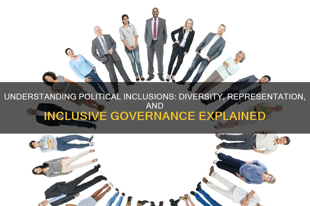what are inclusions in politics