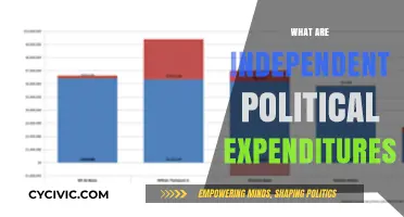 Understanding Independent Political Expenditures: Unveiling Their Role in Modern Elections