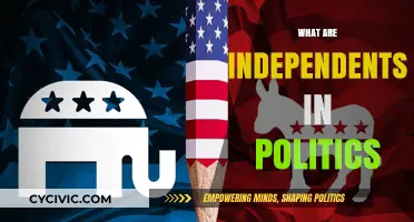Understanding Independents: Their Role and Impact in Modern Politics