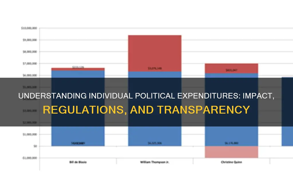 what are individual political expenditures