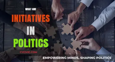 Understanding Political Initiatives: Their Role, Impact, and Implementation