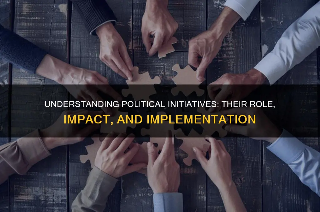 what are initiatives in politics