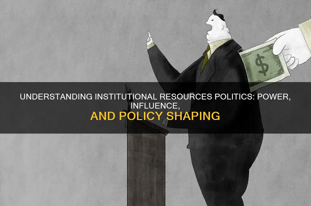 what are institutional resources politics