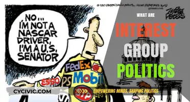 Understanding Interest Group Politics: Influence, Advocacy, and Policy Shaping