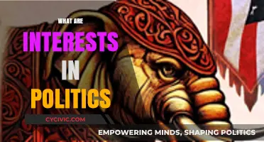 Understanding Political Interests: Key Drivers and Influences in Governance
