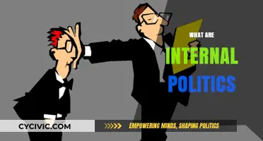 Understanding Internal Politics: Navigating Workplace Dynamics and Power Structures