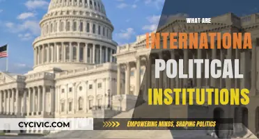 Understanding International Political Institutions: Roles, Impact, and Global Governance