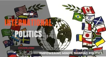 Understanding International Politics: Global Relations, Power Dynamics, and Diplomacy Explained