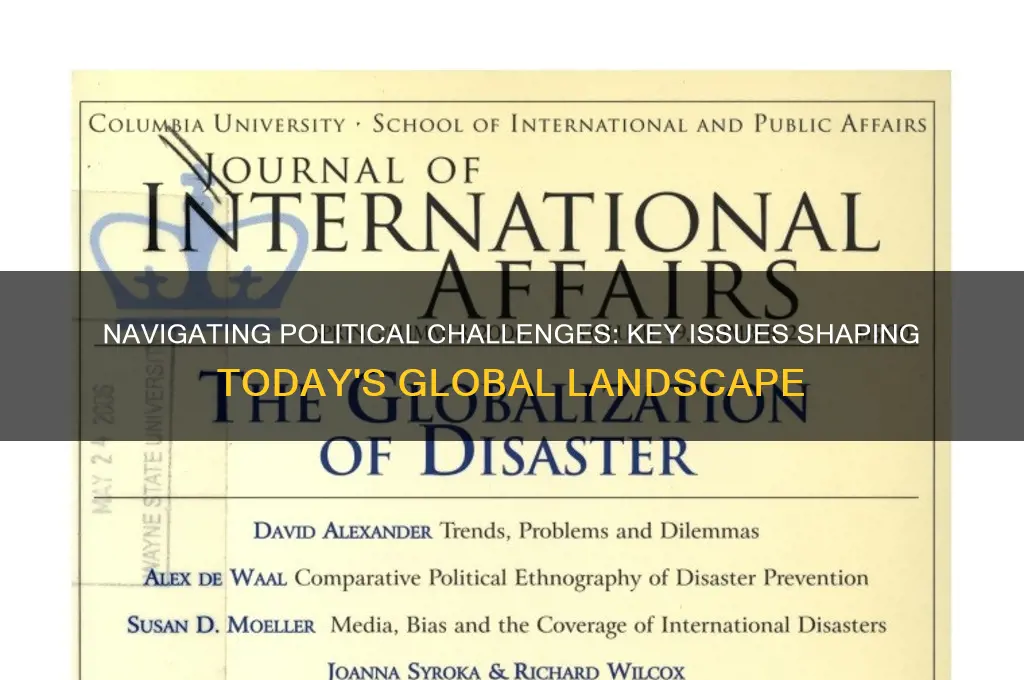 what are issues in politics