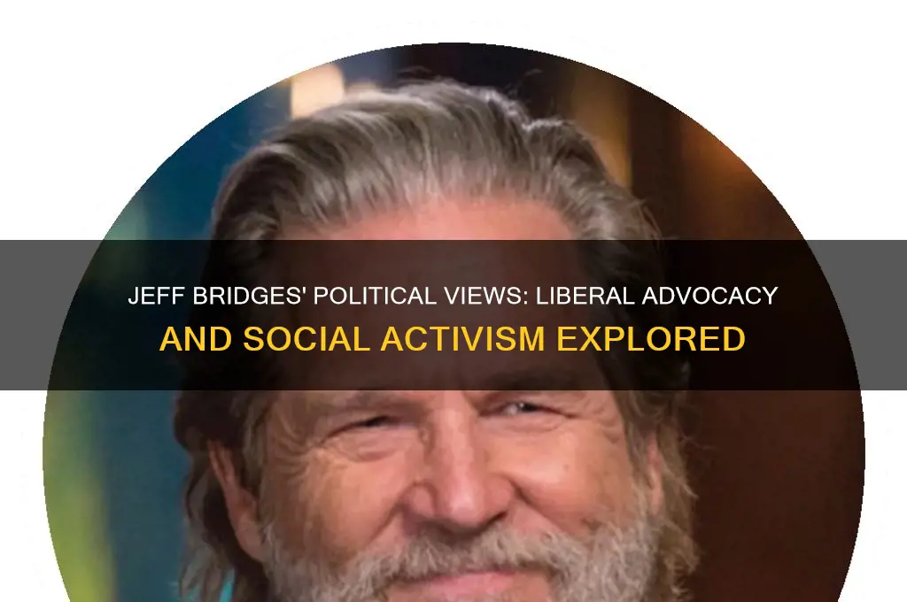 what are jeff bridges politics