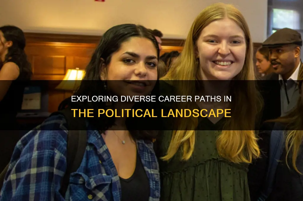 what are jobs in politics